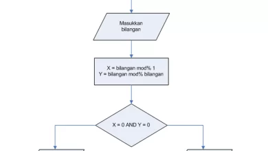 Mengenal Konsep Dasar Contoh Algoritma Pemrograman