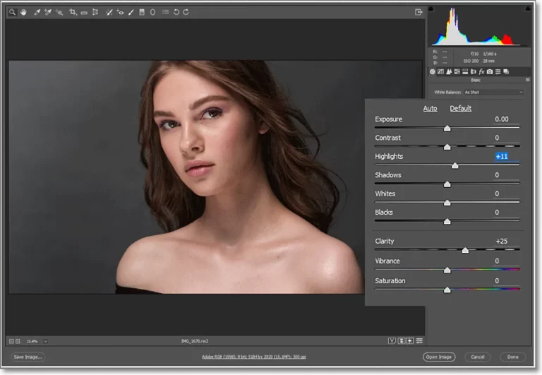 Menyiasati Batasan: Tips Edit Foto Efektif dengan Photoshop Portable