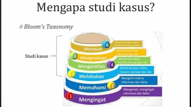 Metode Studi Kasus