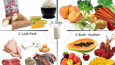 Nutrisi yang Mendukung Kesehatan Reproduksi Remaja