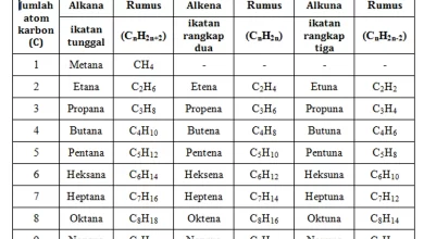 Pengertian Deret Homolog pada Hidrokarbon