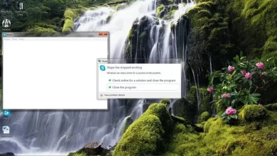 Pesan Kesalahan Appcrash di Windows