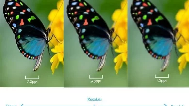 Tips Mengcrop Gambar di Photoshop dengan Profesionalisme