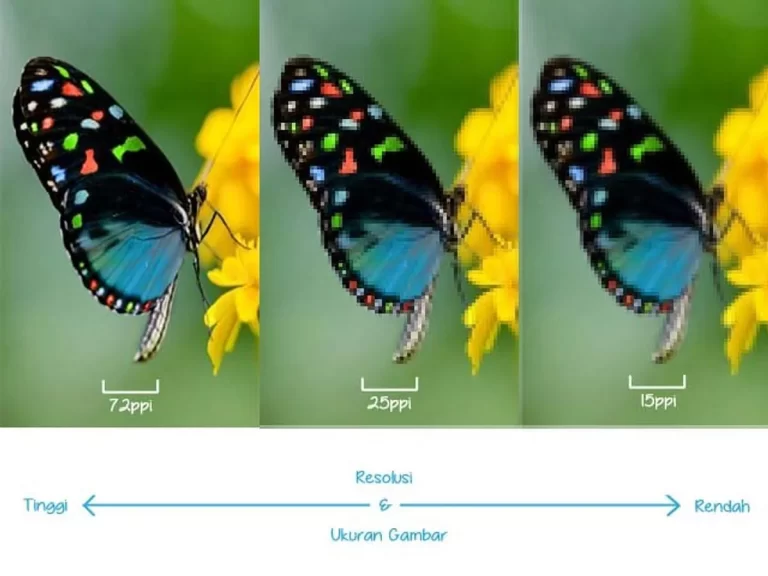 Tips Mengcrop Gambar di Photoshop dengan Profesionalisme