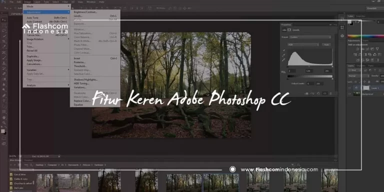 Tips Mengoptimalkan Penggunaan Photoshop Ringan