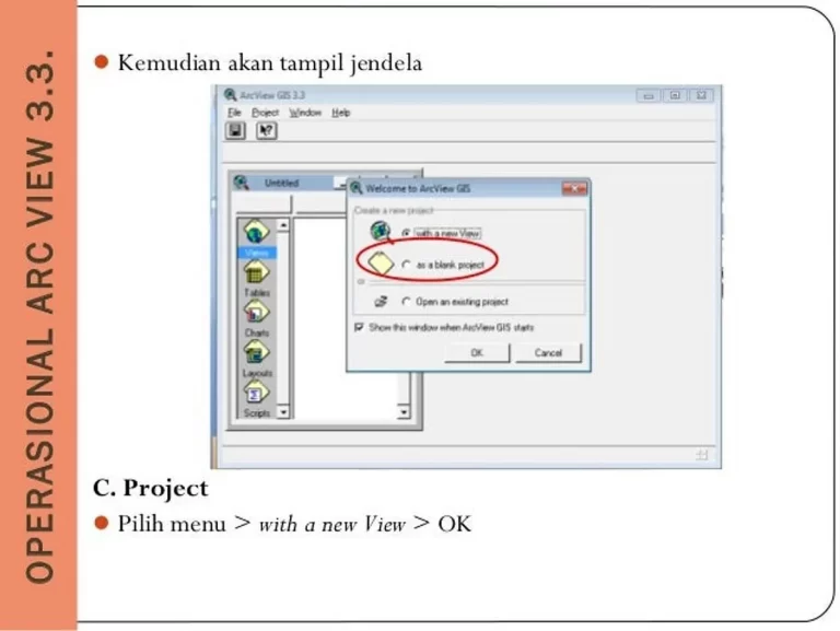 Tips Pencegahan Kesalahan Aplikasi dan Integrasi Data